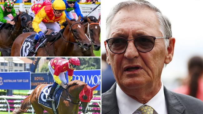 Trainer Peter Snowden is hoping to get Memo (top left) and Quietly Arrogant into next month's Golden Slipper.