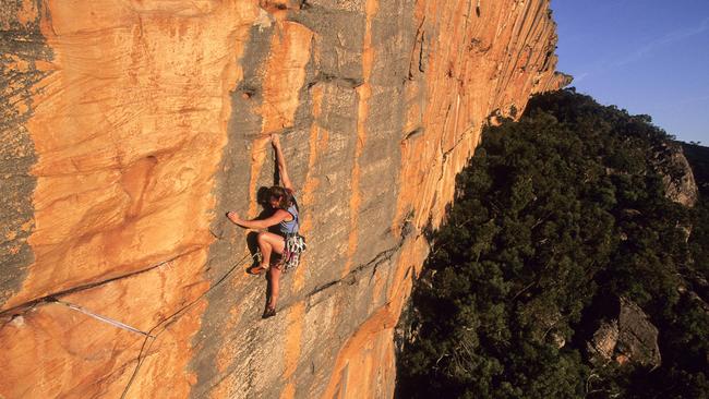 A climber attempts Taipan Wall. Picture: Simon Carter