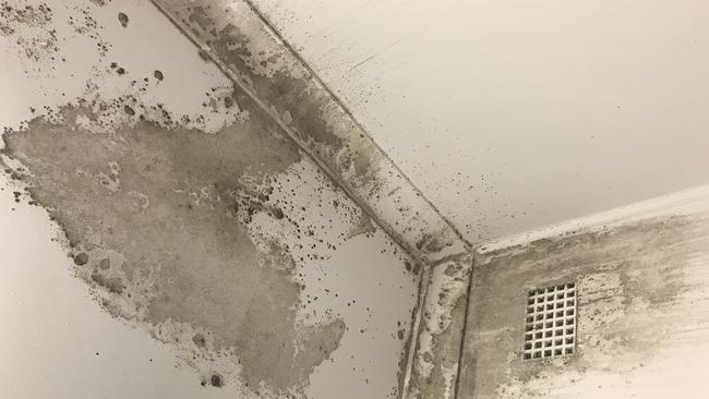 Locals are being forced to reside in harmful, mould infested homes in a property market which is so high in demand, with many choosing to stay instead of battling queues to find another rental. Photo: Supplied.