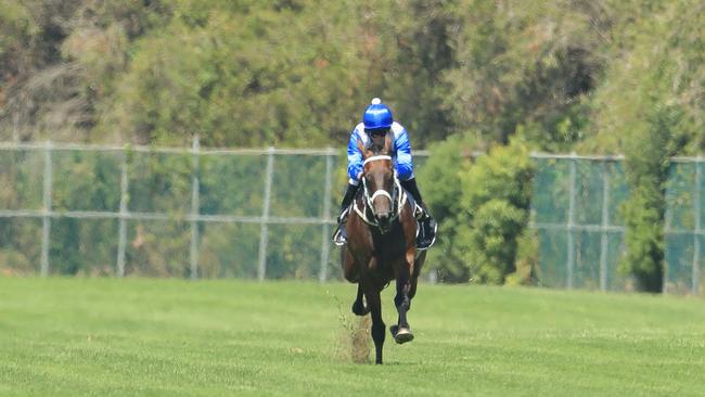 SYDNEY, AUSTRALIA — MARCH 17: Kerrin McEvoy rides Winx in a gallop during Sydney Racing at Rosehill Gardens on March 17, 2018 in Sydney, Australia. (Photo by Mark Evans/Getty Images)