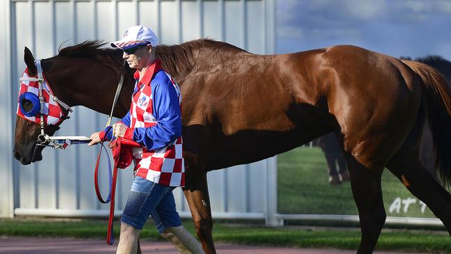 The Jeffrey Caught trained Pure Hawk won the Benchmark 65 Handicap (1400m) at Cluden Park. PICTURE: Matt Taylor.