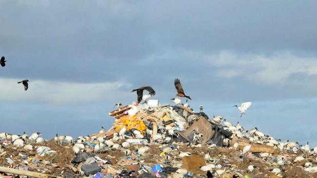 Gympie Regional Council will vote on a proposal to shrink hours, close sites at rubbish dumps around the region. Picture: Tanya Easterby