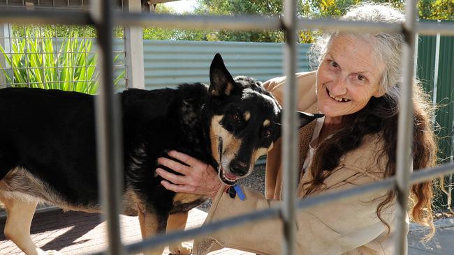 Care worker Jacky Scott and her dog Nono in the back of her ute that she uses to search for injured or stray animals before going to her job at the Alice Springs nursing home.