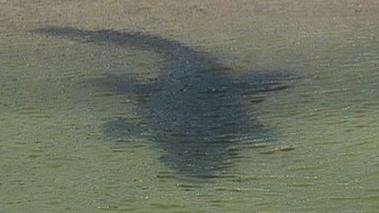 Lonely Planet and Getty Images photographer Mark Daffey snapped this photo of a croc beneath the surface of a Port Essington beach in the NT. East Arnhem Land's official Facebook page listed the picture as its favourite image of the year. Picture: Mark Daffey