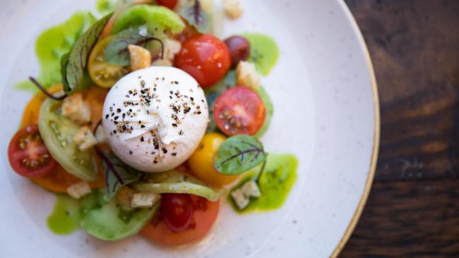 Burrata with tomatoes, basil oil and pangrattato.