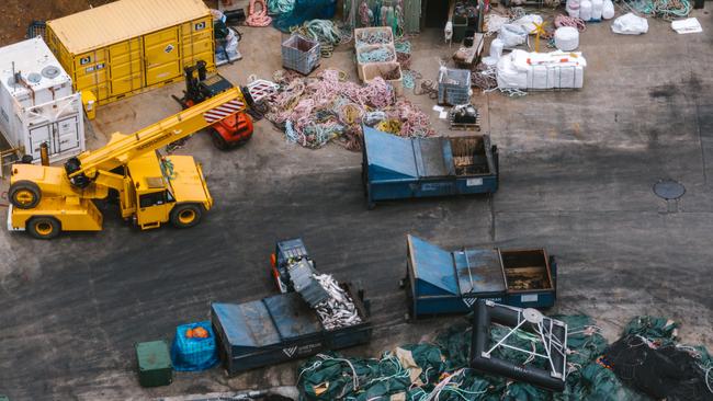 Live fish were placed into a waste bin alongside dead fish at a Huon Aquaculture site. Picture: Bob Brown Foundation