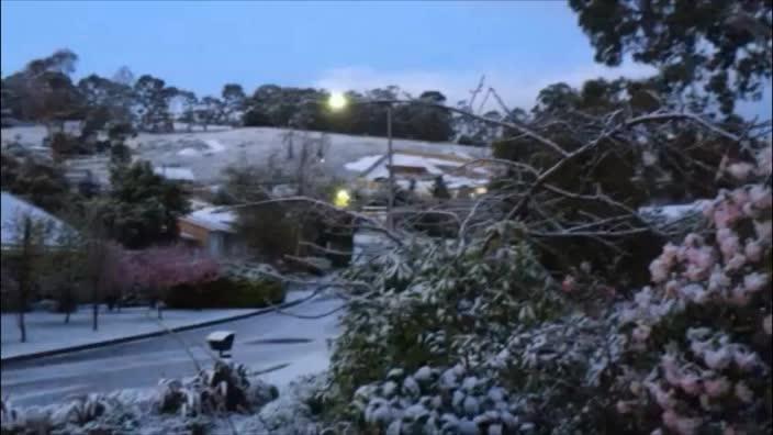 Snow hits low-lying areas of Hobart