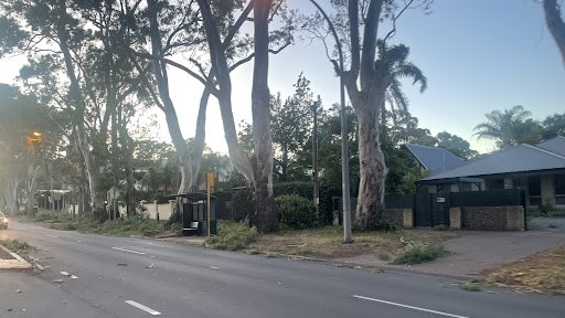 Fallen branches strewn across Greenhill Rd at Tusmore and Hazelwood Park. Picture: Kara Jung