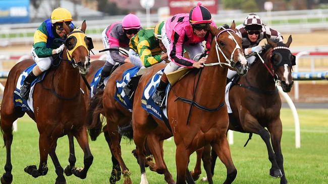 Victoria: Comprehensive preview of every race at Bendigo | Daily Telegraph