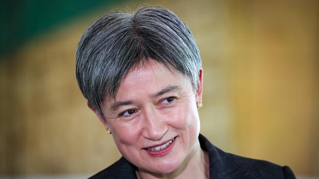 Senator Penny Wong denies she failed to condemn the stalking of South Australian Liberal MP Nicolle Flint. Picture: David Gray/Getty Images