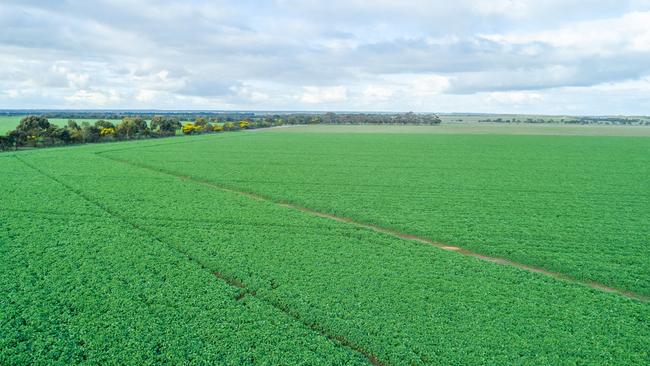 Lime Creek has undergone significant development to create raised-bed row crops.