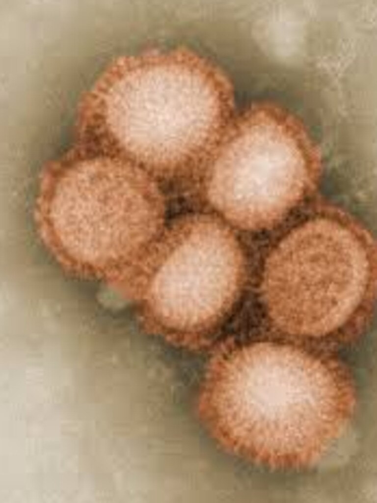 H3N2 or Avian flu which originated in China.