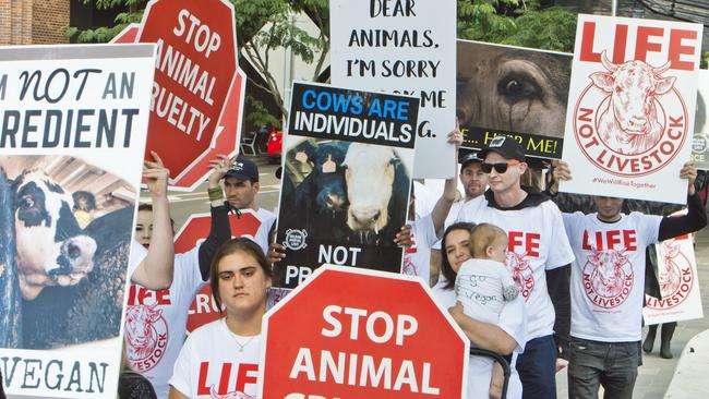 Animal activists march in Toowoomba after a protest at Beef City abattoir last year.