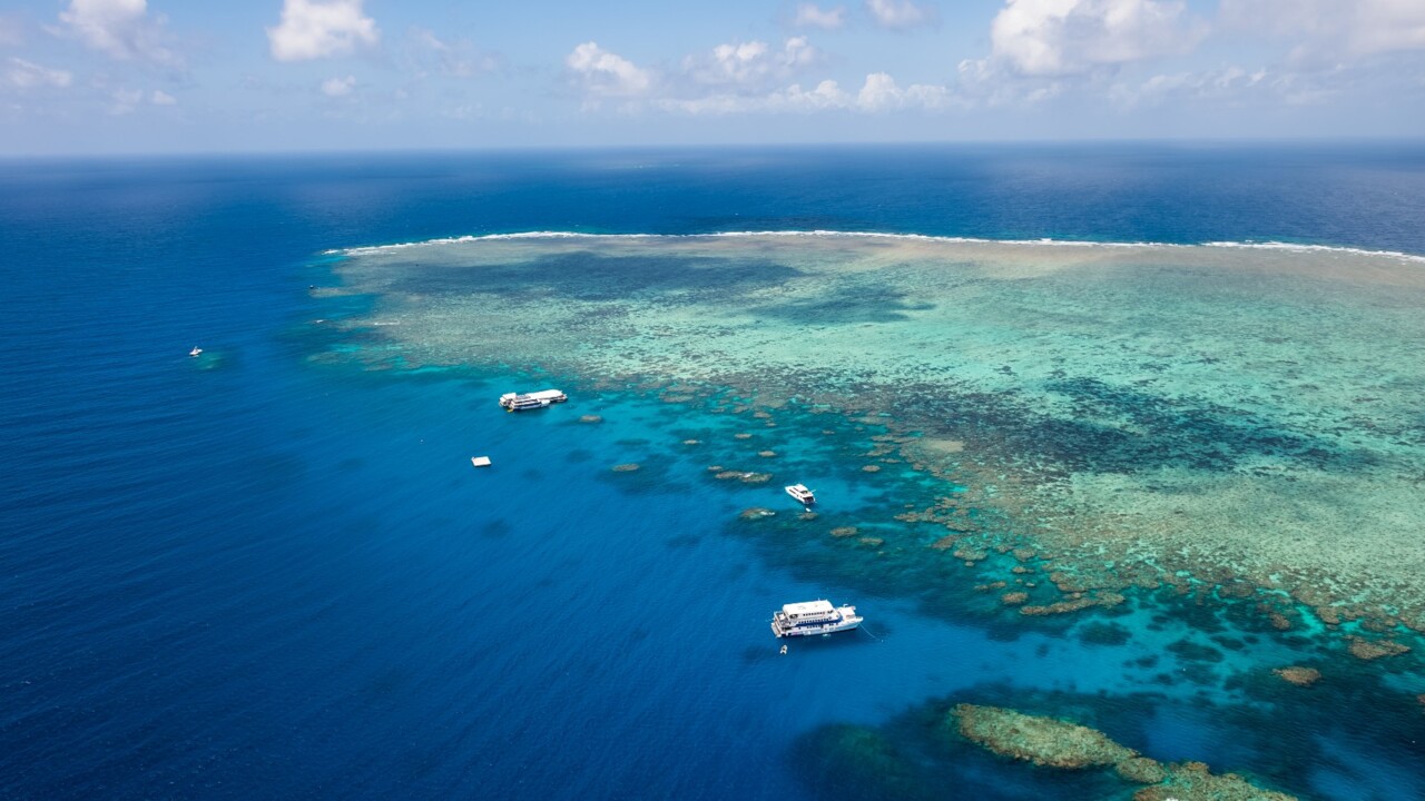 International ambassadors tour Great Barrier Reef ahead of UNESCO decision