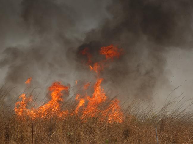 Gamba Grass burns as Dangerous fire conditions continue as a fire rolls through the Litchfield/Batchelor AreaPicture GLENN CAMPBELL