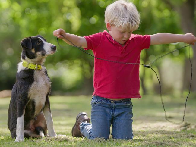 Boy’s best friend … Russ Fowler's son Charlie is great mates with Molly. Pic: Brad Smith