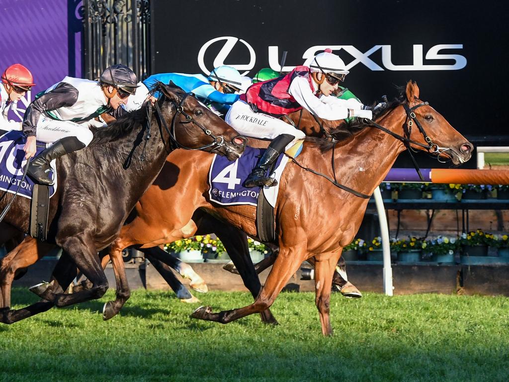 Vic racing | Horse Racing News and Thoroughbreds | Daily Telegraph