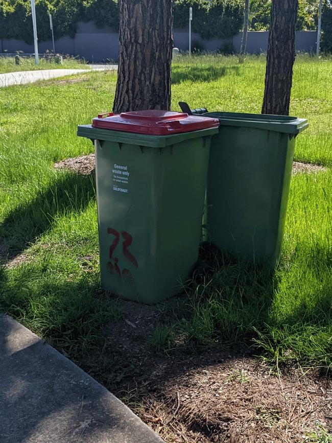 Bins at the park. Picture: Keith Woods.