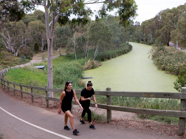 What’s happened to the Torrens?