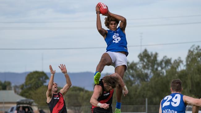 Scrutton descends with ball in hands. Picture: Ethan Nitz Photography