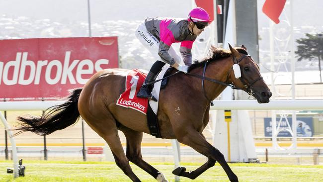 Aurora's Symphony ridden by Jordan Childs wins the Ladbrokes Hobart Cup at Elwick Racecourse. Picture: Chris Kidd