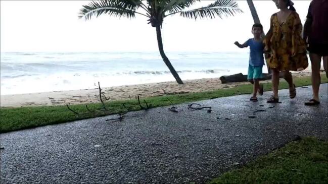 Cyclone Jasper makes landfall