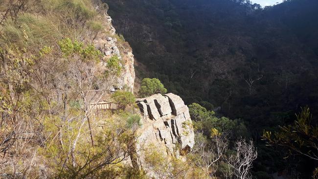 The Yurrebilla Trail. Picture: Michelle Etheridge