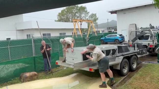 Huge Croc That 'Lunged' at Local Captured in Queensland