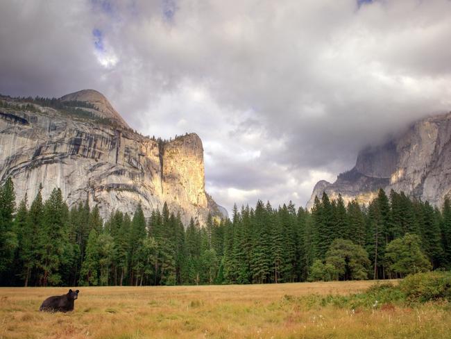 The only thing better than visiting Yosemite National Park is visiting Yosemite National Park for free. Picture: iStock