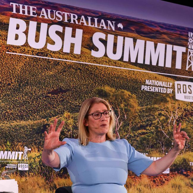 Rita Saffioti at the summit in Port Hedland.