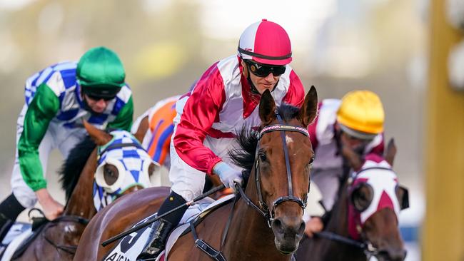 Star Perth mare Arcadia Queen will return to Victoria in the autumn to chase the $5 million All-Star Mile in March.