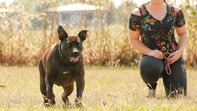 Zuccoli’s new fully fenced dog park is set to open on May 15 ahead of an official opening in June. Picture: Glenn Campbell