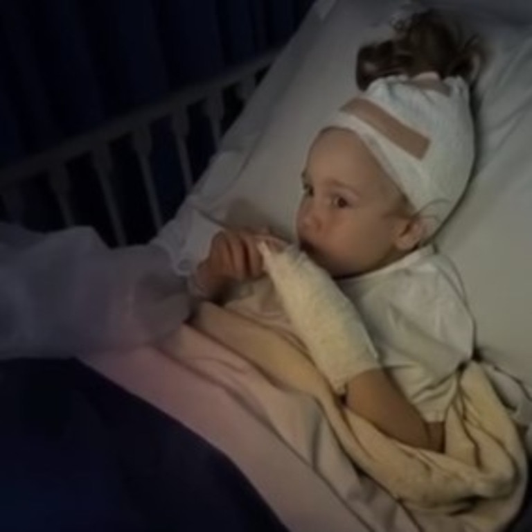 Margot was mauled by an American Staffy at an off leash dog park in Adelaide. Picture: 7NEWS
