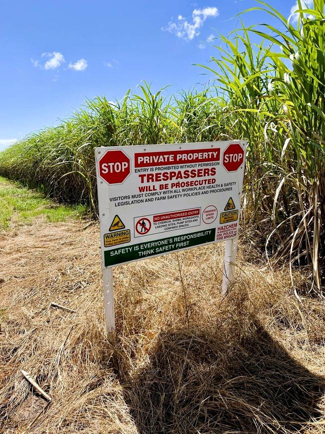 The cane farm belonging to Michael Reinaudo in Coolbie, Hinchinbrook. Picture: Cameron Bates