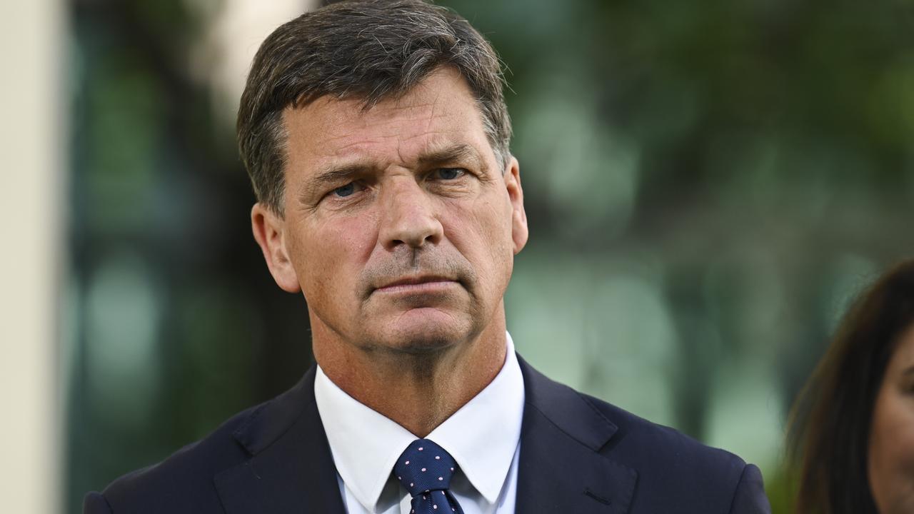 Opposition treasury spokesman Angus Taylor. Picture: Martin Ollman/Getty Images