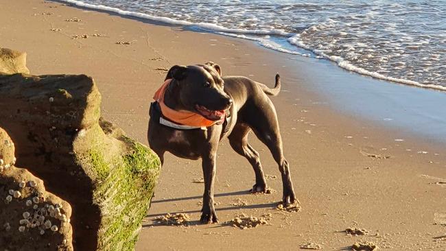 Nina loves her days at the beach.