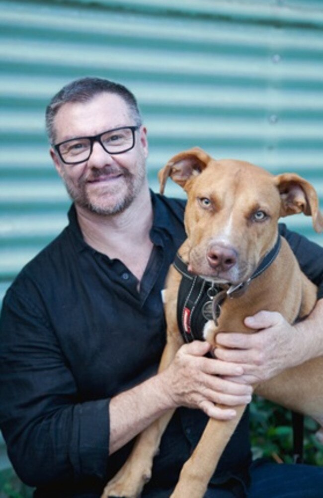 Feline Medicine Specialist Dr James Foster from the Brisbane Veterinary Specialist Centre (BVSC), with Walter, his 9-month-old American Staffordshire Terrier cross. Picture: BVSC