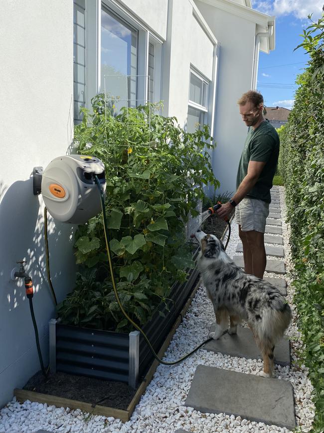 Gold Coast Suns player Jack Hombsch watering his garden. Picture: Supplied.