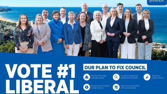 The 15 Liberal Party candidates preselected to contest the Northern Beaches Council election on September 14 — Sunny Singh third from the left.