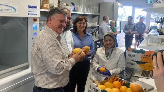 Mangoes 2024 Agribusiness Minister Mark Monaghan, Dr Muhammad Sohail Mazhar, Sally Heaton from DEET and Dr Saberi Saeedh-Taghadomi.