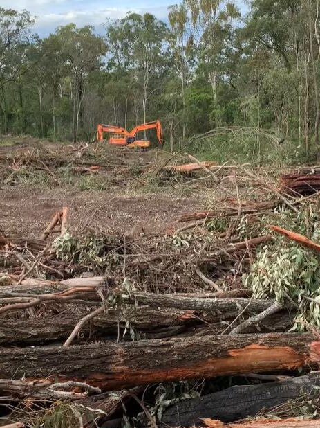 Screenshots showing the extent of the damage from Cr Peter Young's Facebook video.