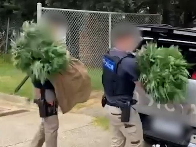 Victoria Police remove cannabis plants from a Seaford factory. Picture: Supplied