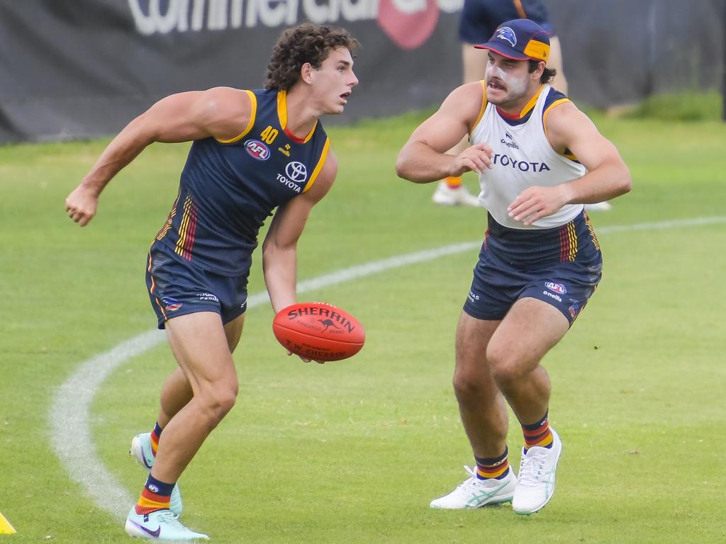 Afl 2024 Adelaide Crows Season Preview Pre Season Analysis Predicted Round 1 Team Ladder