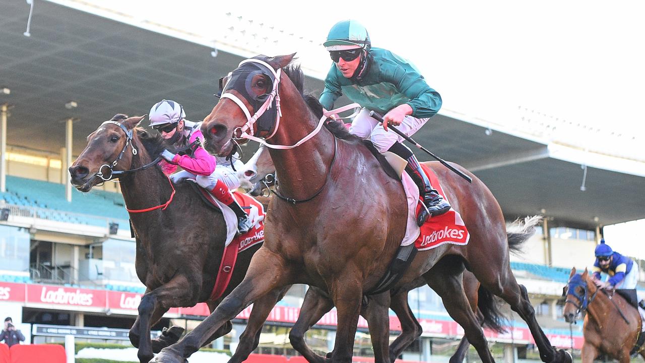 Ladbrokes Feehan Stakes