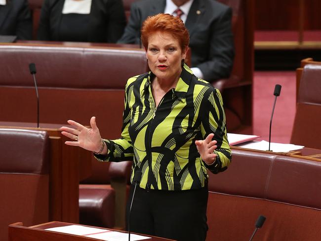 Senator Pauline Hanson during education bill Senate debate in Canberra. Picture: Kym Smith