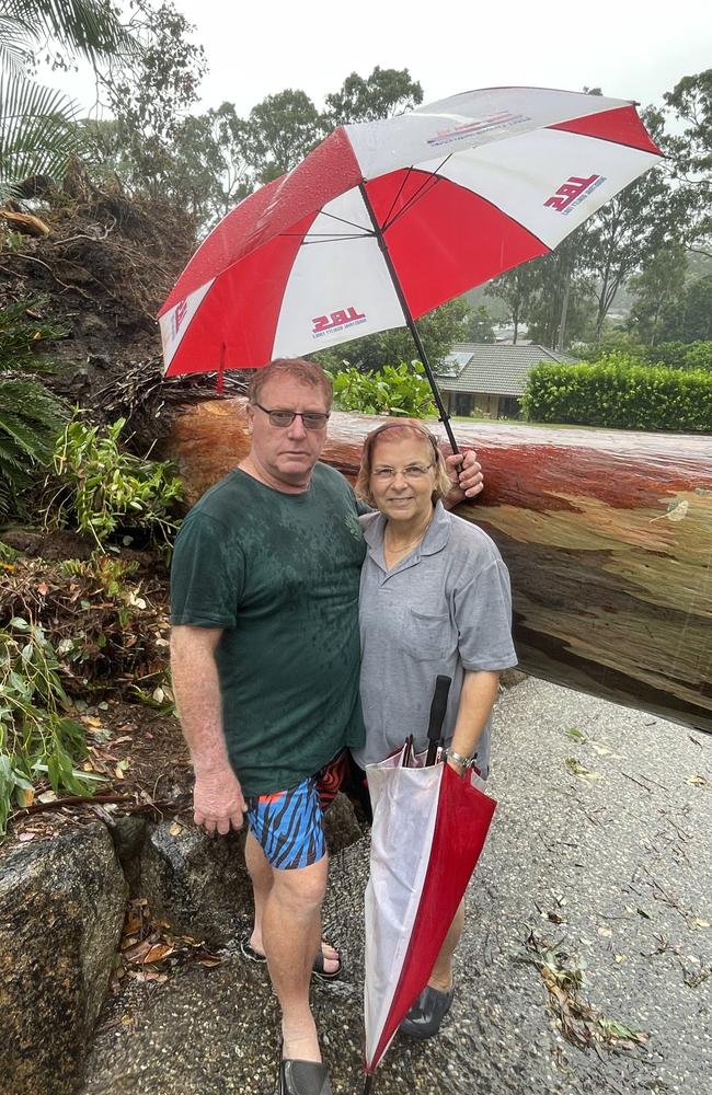 Joyner residents Jim and Anne Franklin had a large tree fall across the driveway and take out the guttering of their home.