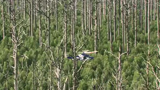 A police chopper flies to the crash site. Picture: Nine News