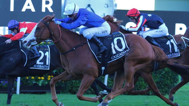 Cascadian will attempt to join an elite group by claiming the Doncaster/Epsom double in the same year. Picture: Grant Guy
