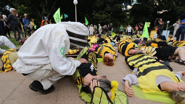 Dead bees and grieving beekeepers at Hyde Park on Tuesday. Picture: Richard Dobson