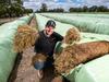 Picture perfect hay in Goulburn Valley